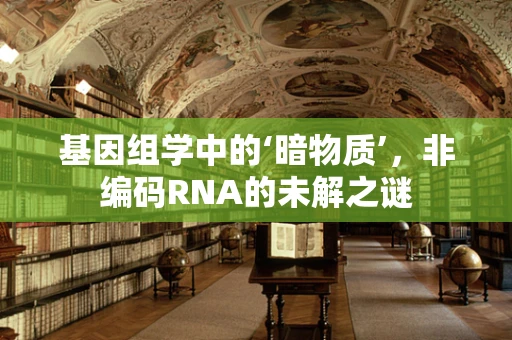 基因组学中的‘暗物质’，非编码RNA的未解之谜