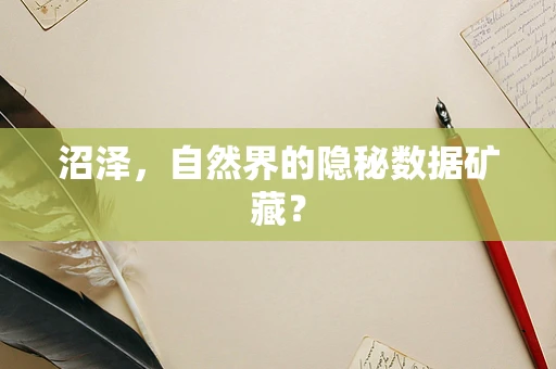 沼泽，自然界的隐秘数据矿藏？