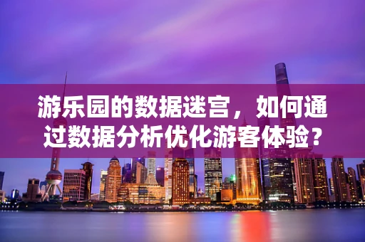 游乐园的数据迷宫，如何通过数据分析优化游客体验？