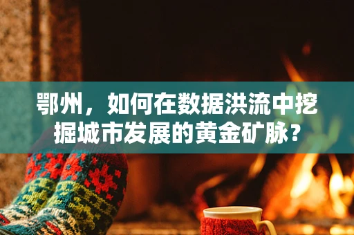 鄂州，如何在数据洪流中挖掘城市发展的黄金矿脉？