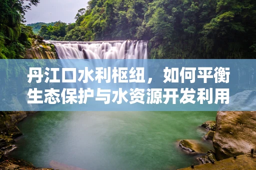 丹江口水利枢纽，如何平衡生态保护与水资源开发利用的挑战？
