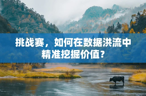 挑战赛，如何在数据洪流中精准挖掘价值？
