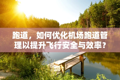 跑道，如何优化机场跑道管理以提升飞行安全与效率？