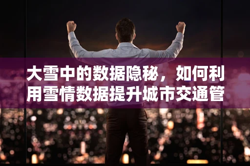 大雪中的数据隐秘，如何利用雪情数据提升城市交通管理？