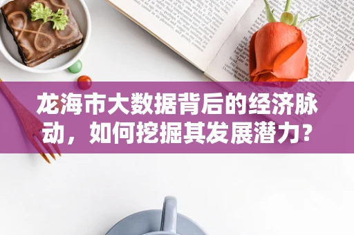 龙海市大数据背后的经济脉动，如何挖掘其发展潜力？