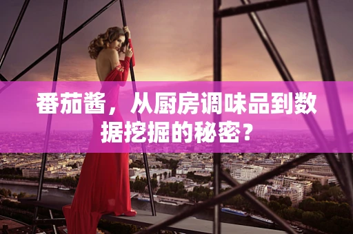 番茄酱，从厨房调味品到数据挖掘的秘密？