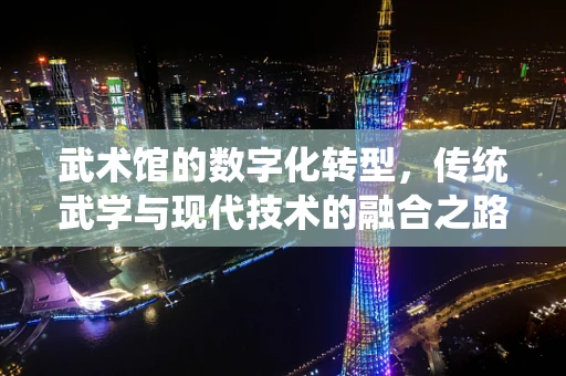 武术馆的数字化转型，传统武学与现代技术的融合之路？