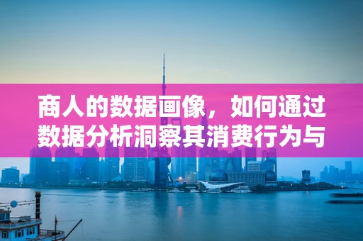 商人的数据画像，如何通过数据分析洞察其消费行为与偏好？