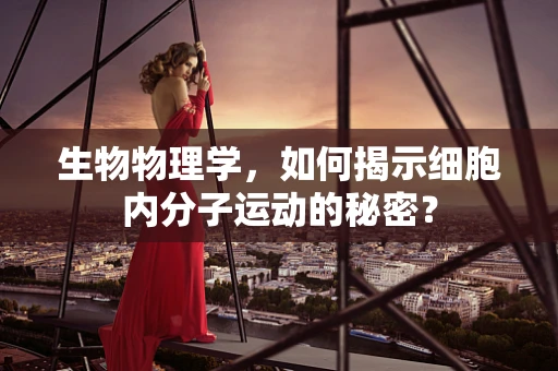 生物物理学，如何揭示细胞内分子运动的秘密？