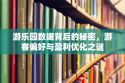 游乐园数据背后的秘密，游客偏好与盈利优化之谜