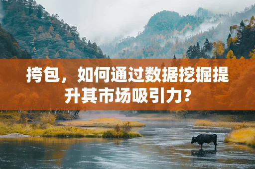 挎包，如何通过数据挖掘提升其市场吸引力？
