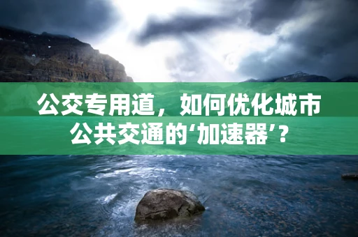 公交专用道，如何优化城市公共交通的‘加速器’？