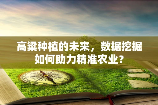 高粱种植的未来，数据挖掘如何助力精准农业？