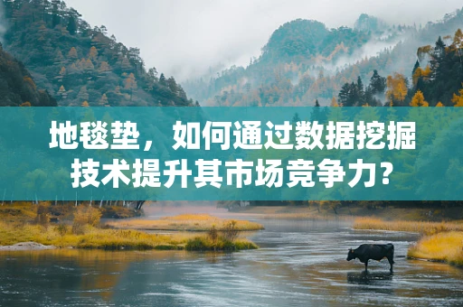 地毯垫，如何通过数据挖掘技术提升其市场竞争力？