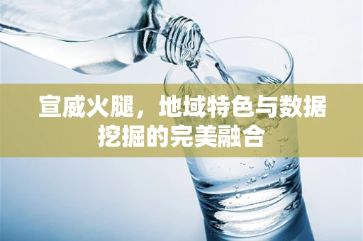 宣威火腿，地域特色与数据挖掘的完美融合
