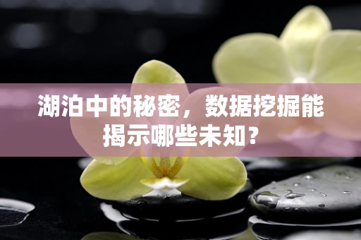 湖泊中的秘密，数据挖掘能揭示哪些未知？