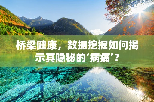 桥梁健康，数据挖掘如何揭示其隐秘的‘病痛’？