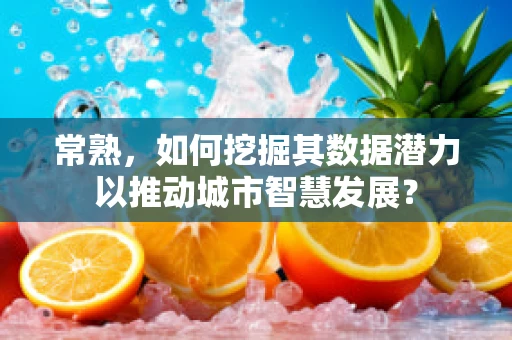 常熟，如何挖掘其数据潜力以推动城市智慧发展？