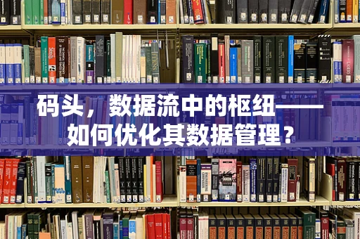 码头，数据流中的枢纽——如何优化其数据管理？