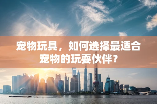 宠物玩具，如何选择最适合宠物的玩耍伙伴？
