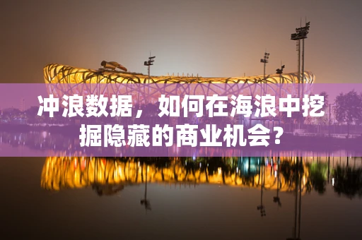 冲浪数据，如何在海浪中挖掘隐藏的商业机会？