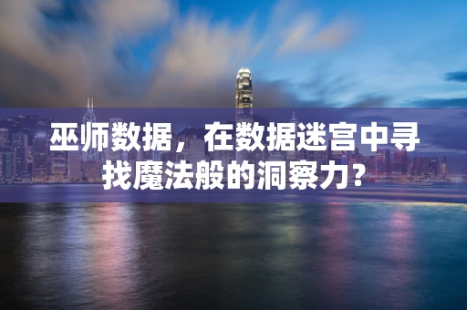 巫师数据，在数据迷宫中寻找魔法般的洞察力？