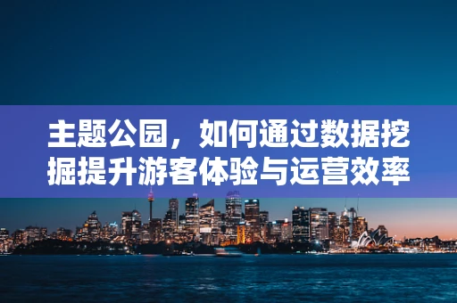 主题公园，如何通过数据挖掘提升游客体验与运营效率？