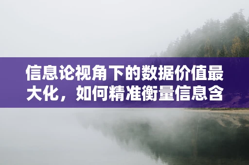 信息论视角下的数据价值最大化，如何精准衡量信息含量？