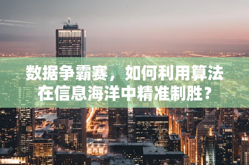 数据争霸赛，如何利用算法在信息海洋中精准制胜？