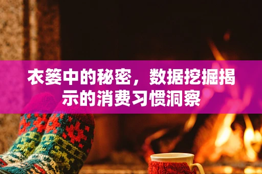 衣篓中的秘密，数据挖掘揭示的消费习惯洞察