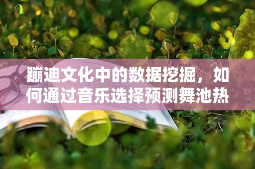 蹦迪文化中的数据挖掘，如何通过音乐选择预测舞池热潮？