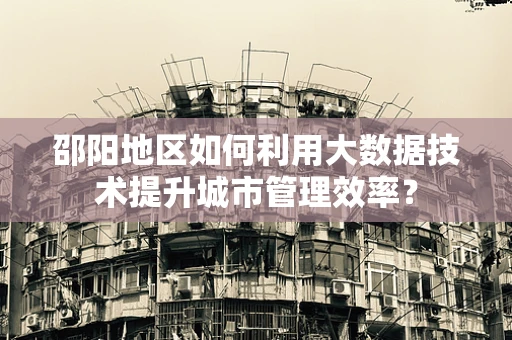 邵阳地区如何利用大数据技术提升城市管理效率？
