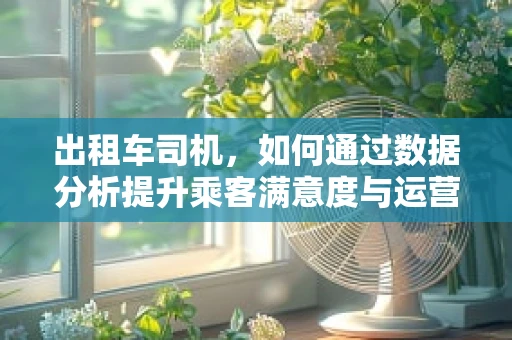 出租车司机，如何通过数据分析提升乘客满意度与运营效率？