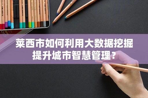 莱西市如何利用大数据挖掘提升城市智慧管理？