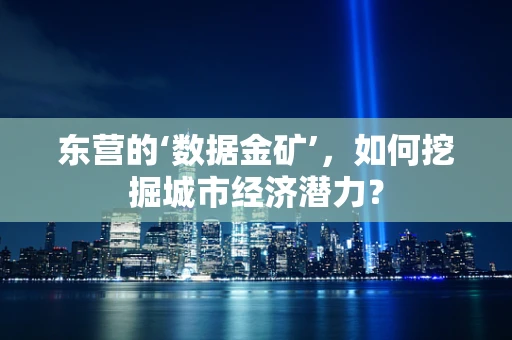 东营的‘数据金矿’，如何挖掘城市经济潜力？