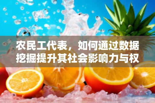 农民工代表，如何通过数据挖掘提升其社会影响力与权益保障？