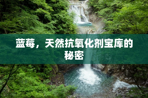 蓝莓，天然抗氧化剂宝库的秘密