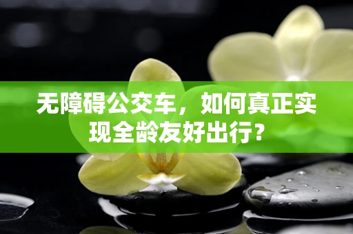 无障碍公交车，如何真正实现全龄友好出行？
