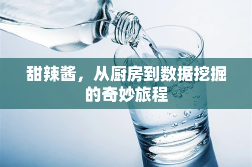甜辣酱，从厨房到数据挖掘的奇妙旅程