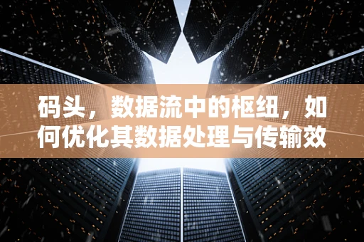 码头，数据流中的枢纽，如何优化其数据处理与传输效率？