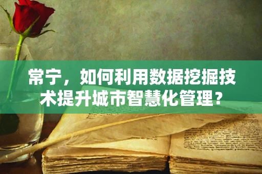 常宁，如何利用数据挖掘技术提升城市智慧化管理？