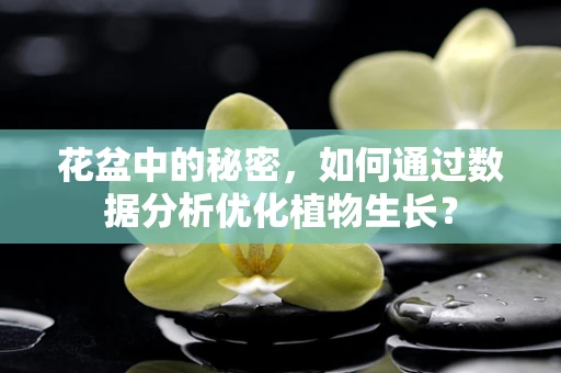 花盆中的秘密，如何通过数据分析优化植物生长？
