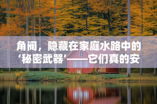 角阀，隐藏在家庭水路中的‘秘密武器’——它们真的安全可靠吗？