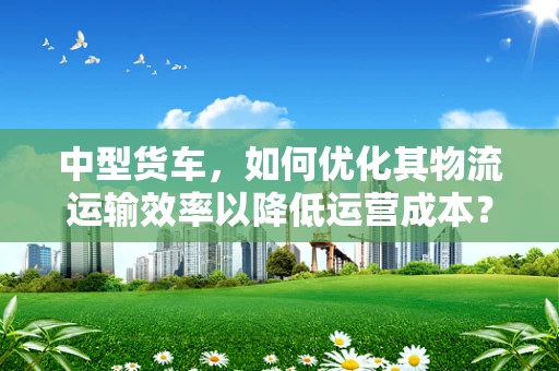 中型货车，如何优化其物流运输效率以降低运营成本？