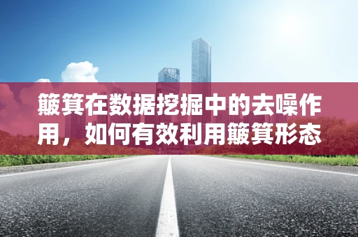 簸箕在数据挖掘中的去噪作用，如何有效利用簸箕形态的聚类方法提升数据质量？