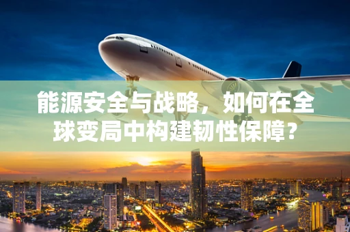 能源安全与战略，如何在全球变局中构建韧性保障？