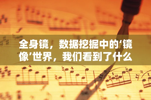 全身镜，数据挖掘中的‘镜像’世界，我们看到了什么？