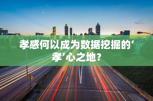 孝感何以成为数据挖掘的‘孝’心之地？