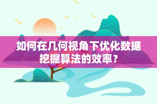 如何在几何视角下优化数据挖掘算法的效率？