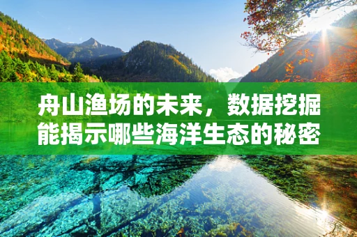 舟山渔场的未来，数据挖掘能揭示哪些海洋生态的秘密？